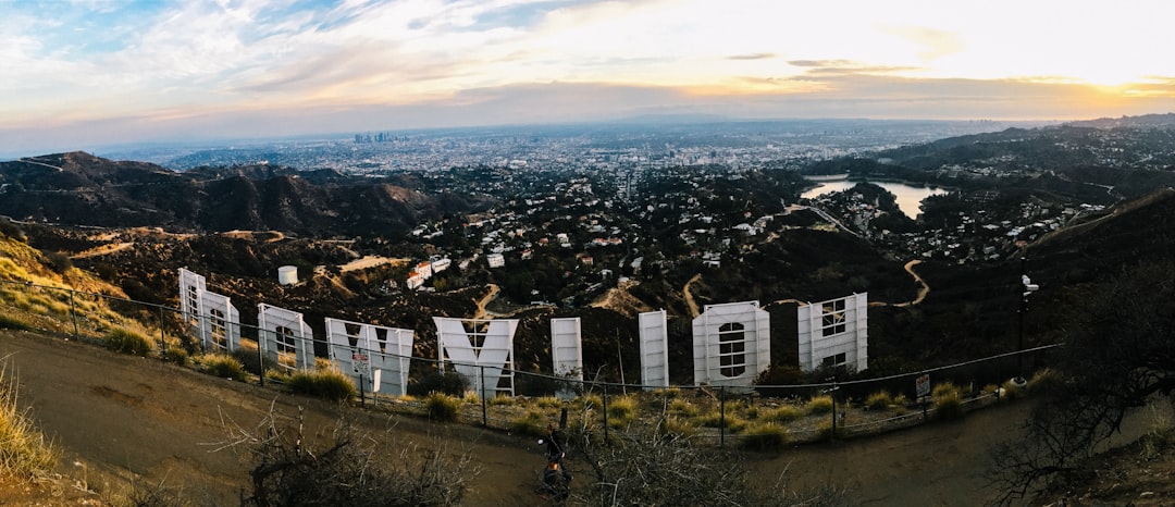 Finding the Perfect Growth Marketing Agency in Los Angeles